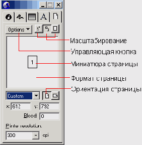    Document Inspector