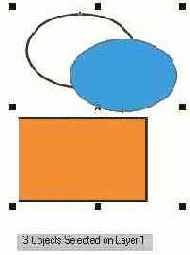          Shape