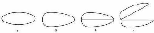   ()      () 